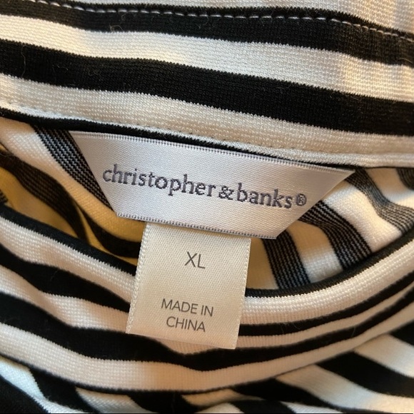 Christopher & Banks Skirt Bundle - Picture 6 of 8